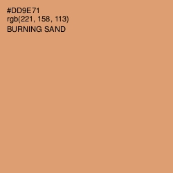 #DD9E71 - Burning Sand Color Image